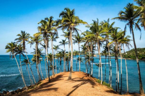 The Spring Holiday, Mirissa